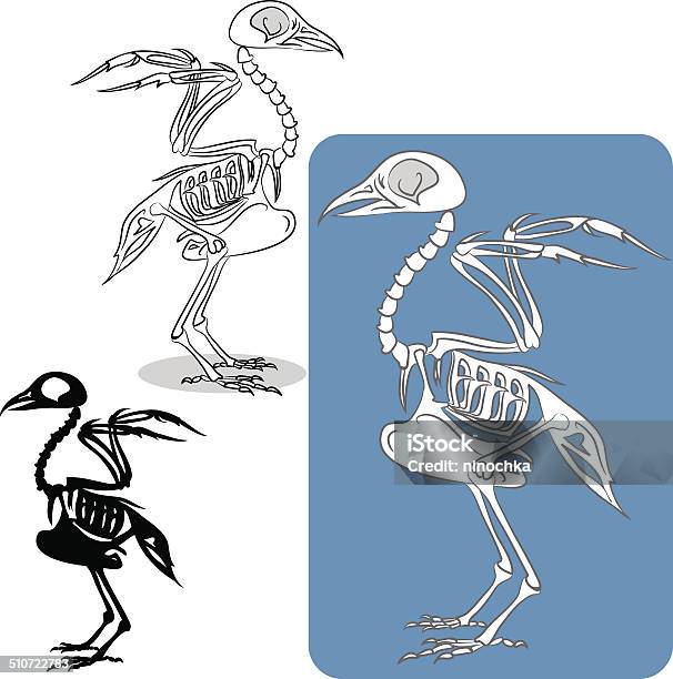 Birds Skeleton Stock Illustration - Download Image Now - Bird, Animal Skeleton, Tattoo