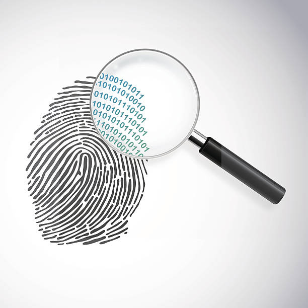 ilustrações, clipart, desenhos animados e ícones de identidade digital - fingerprint security system technology forensic science