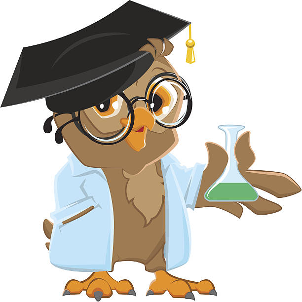 Owl Teacher Cartoon Stock Photos, Pictures & Royalty-Free Images - iStock