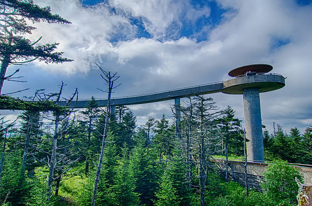 Clingmans Dome-Great Smoky Mountains National Park – Foto