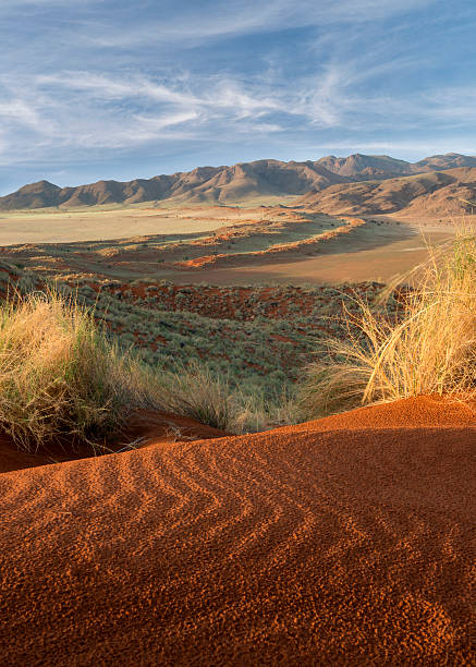 naturreservat namib rand - kalahari gemsbok national park stock-fotos und bilder