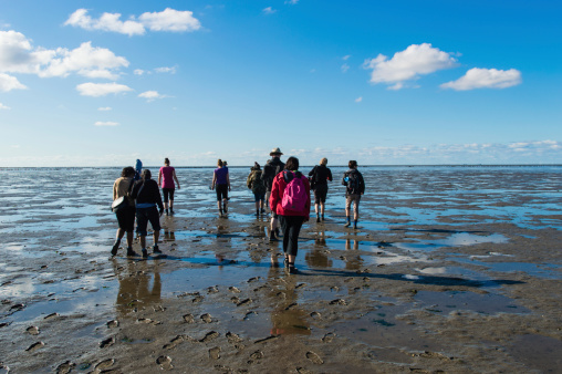 Pieterburen, The Netherlands - August 26, 2014: Group of mud flat hikers in the Netherlands.