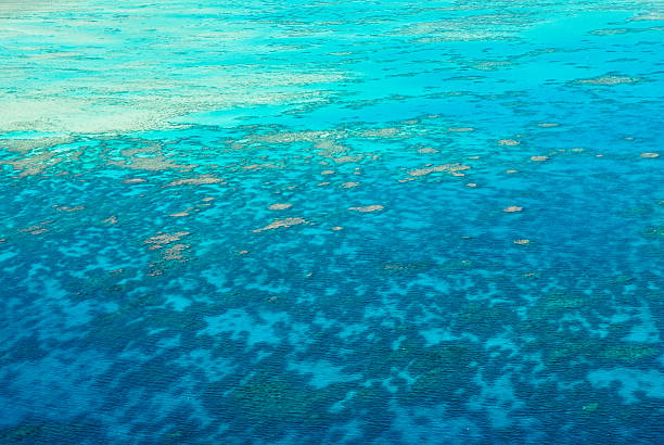 istock Great Barrier Reef from the air 510726915