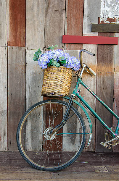 istock Old ladies bicycle leaning against a wooden plank 510738303