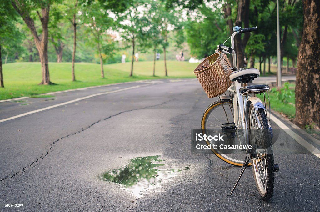 beautiful landscape with Bicycle at park beautiful landscape with Bicycle at park. Basket Stock Photo