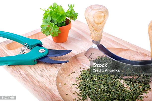 Chopping Board With Herb Chopper And Parsley Stock Photo - Download Image  Now - Chopping Food, Close-up, Cut Out - iStock