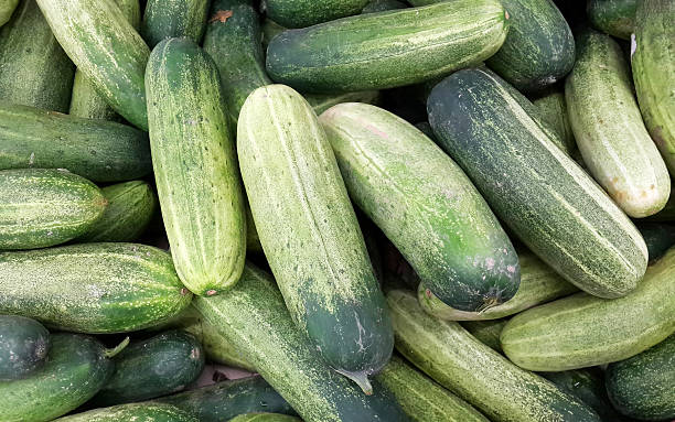 istock Cucumbers Outdoor On Market 510742649