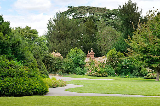 summer park with beautiful green lawns
