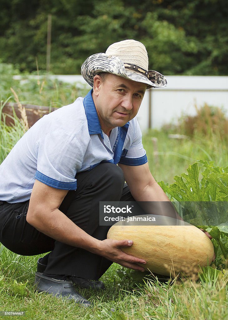 Gardener with melon Happy middle aged man with melon in hands Active Lifestyle Stock Photo