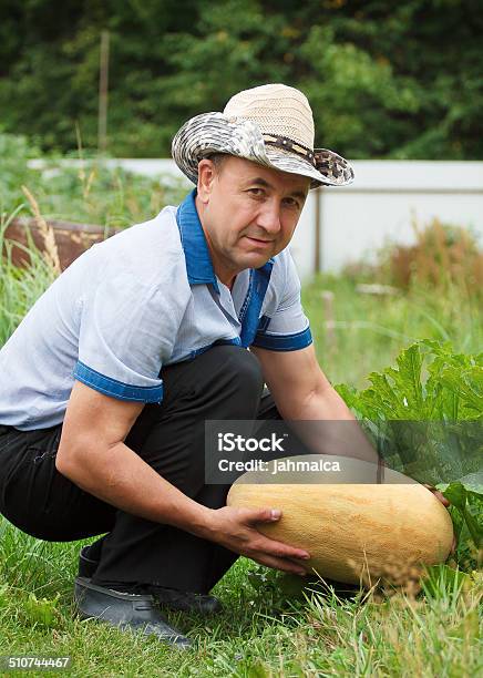 Gardener With Melon Stock Photo - Download Image Now - Active Lifestyle, Active Seniors, Adult