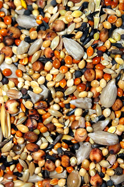 istock Close up of Mixed Bird Seed, full screen 510745133