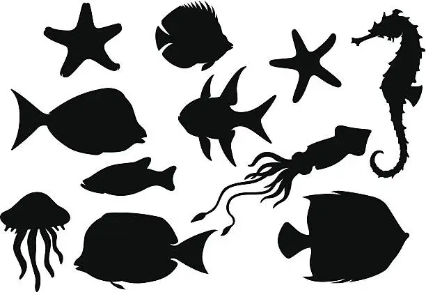 Vector illustration of Marine Life Set