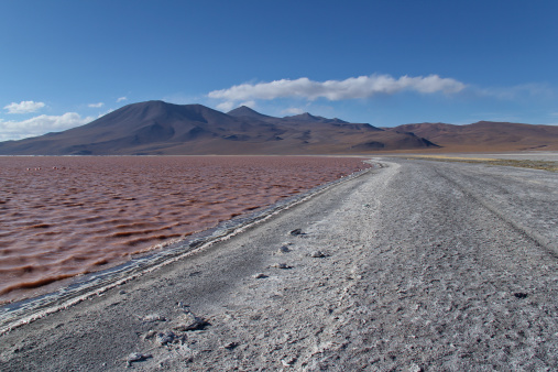 Laguna Colorada in Uyuni desert in Bolivia.