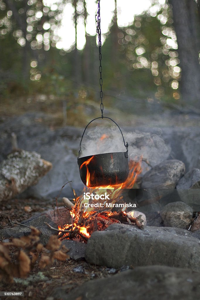 Fire in the woods The image of a fire in the woods on which is brewed pot Bonfire Stock Photo