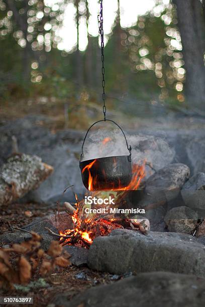 Fire In The Woods Stock Photo - Download Image Now - Bonfire, Burning, Campfire