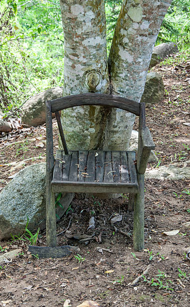 istock Old wooden chair 510764003