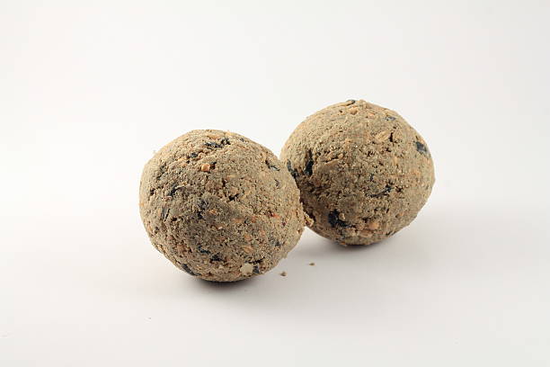 istock Pair of fat Balls for Feeding Wild Birds 510764507