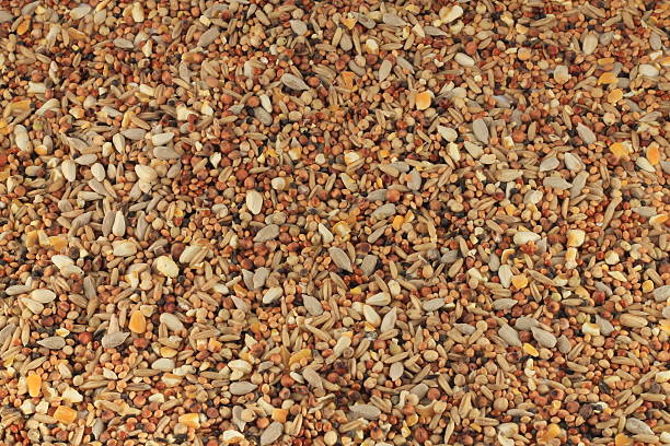 Mixed bird seed close up Mixed bird seed close up bird seed stock pictures, royalty-free photos & images