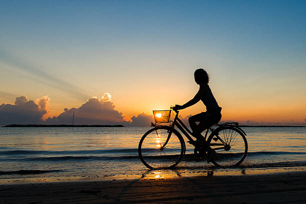 istock Bike by the sea during sunset 510767101