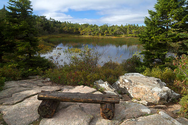 istock Log Bench near a Pond in Acadia National Park 510767903