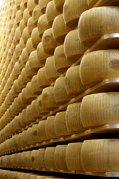 freshly made cheese wheels of cheese on the racks of a maturing storehouse grana padano stock pictures, royalty-free photos & images