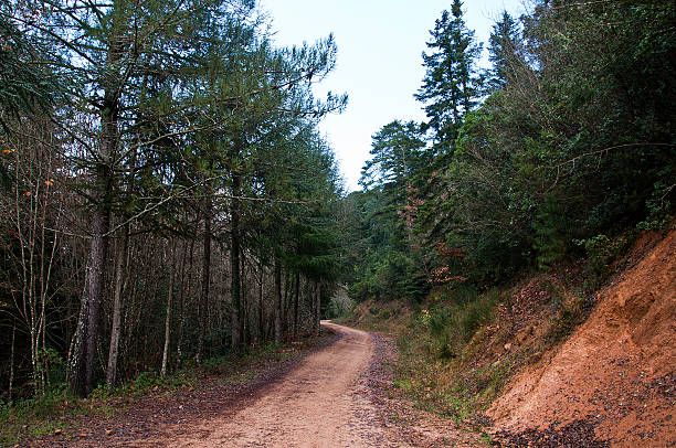 randonnée - ramble - fotografias e filmes do acervo