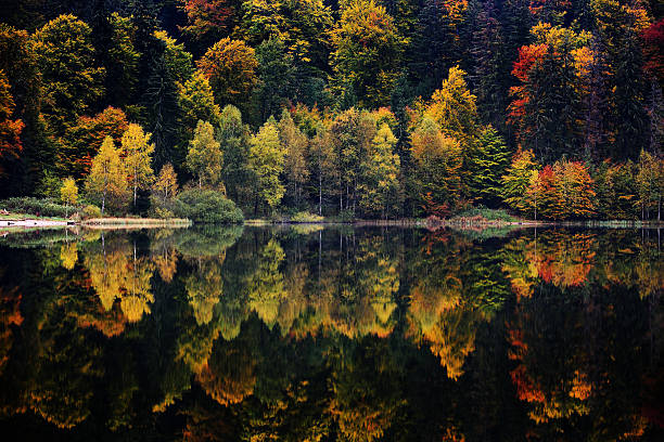 istock autumn landscape in the mountains 510779220