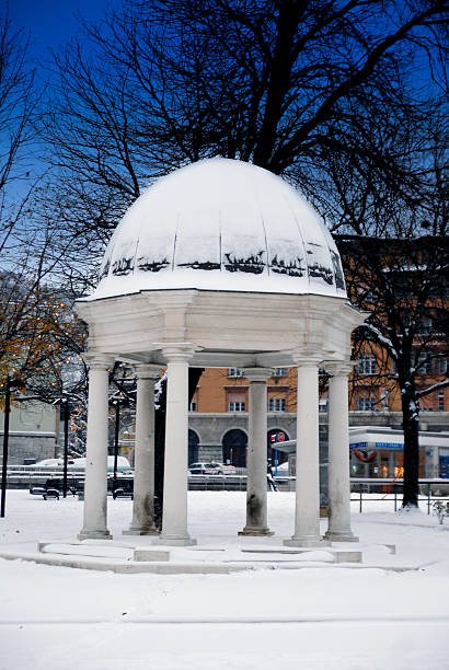istock Snow in Rijeka,Croatia 510783992