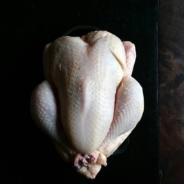 pollo listos para cocinar - piel de gallina fotografías e imágenes de stock