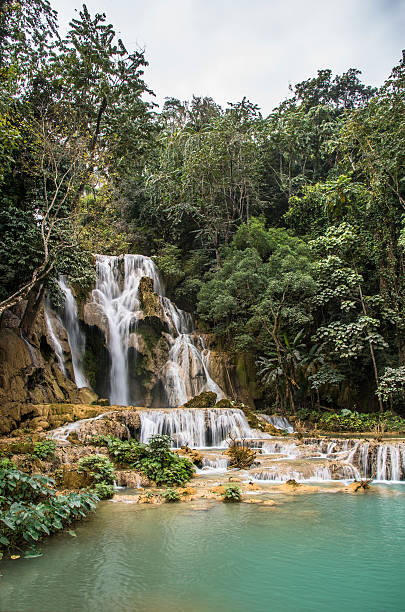 istock Kuang Si waterfall in Laos 510785158