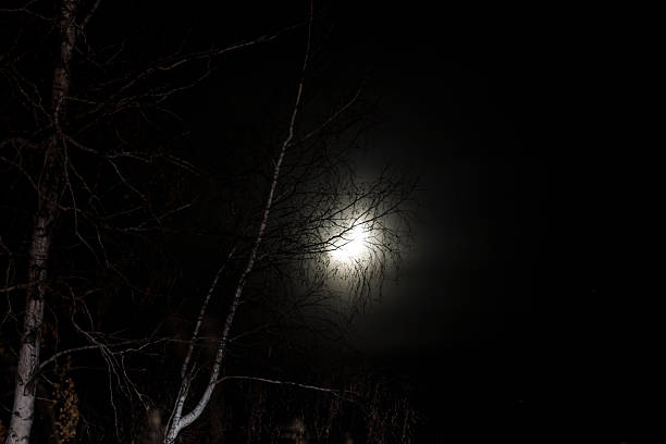 istock the moon in the night sky 510786262