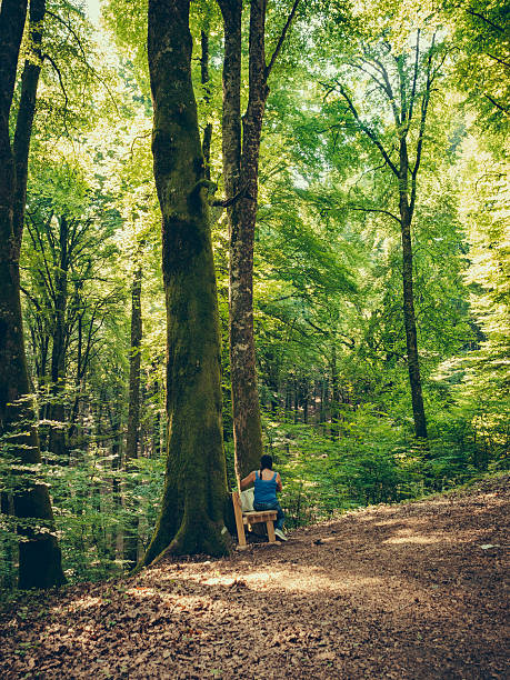 istock Woman sitting on bench in the forest 510787052