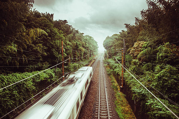 Train Crossing Kyoto Bamboo Forest Japanese train crossing Kyoto Bamboo Forest on a rainy day. high speed train photos stock pictures, royalty-free photos & images
