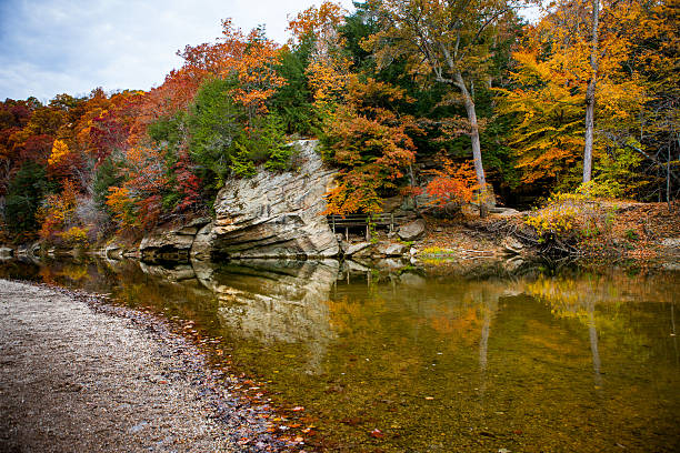 istock Autumn Folige 510787390