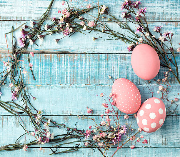colorful pink eggs and flower frame on blue wood stock photo