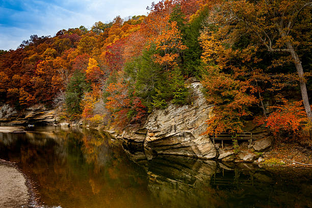 istock Autumn Folige 510789616