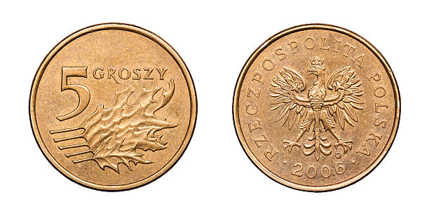 istock Coin 5 pennies. Poland. 2006 510789730
