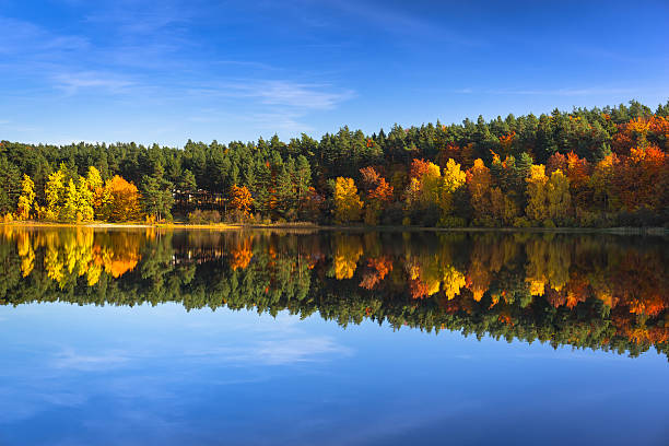 istock Autumn at the lake 510789802