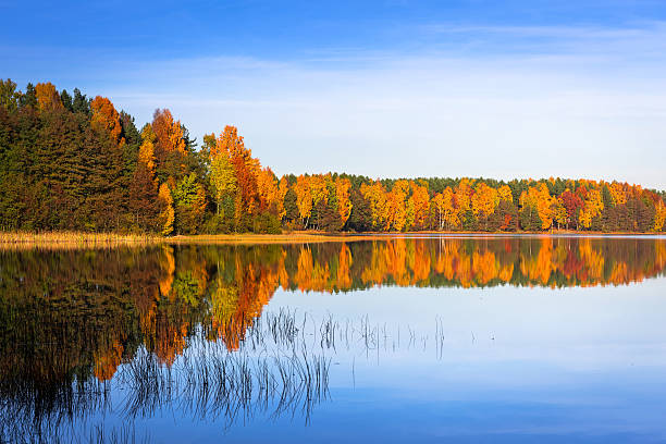 istock Autumn at the lake 510789880