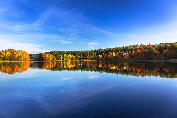 istock Autumn at the lake 510790020