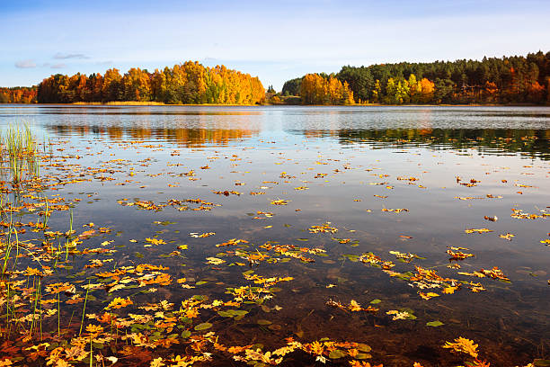 istock Autumn at the lake 510790190