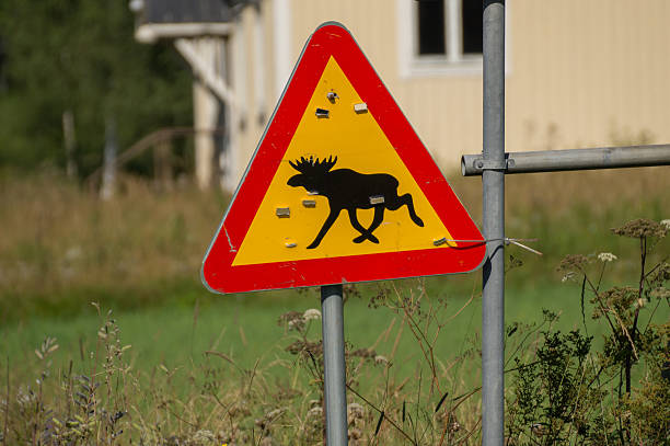 istock Moose road sign 510790240