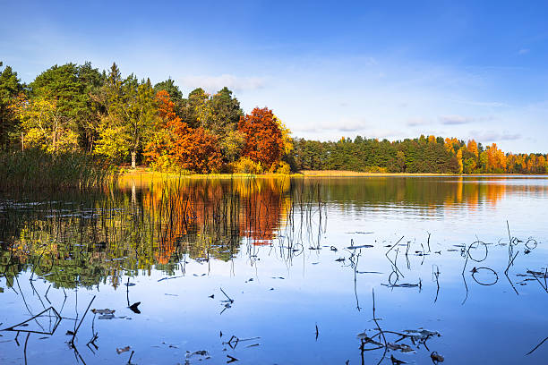 istock Autumn at the lake 510790264
