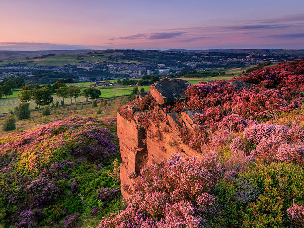 Yorkshire Sunset Heather in flower at sunset, in yorkshire UK yorkshire stock pictures, royalty-free photos & images