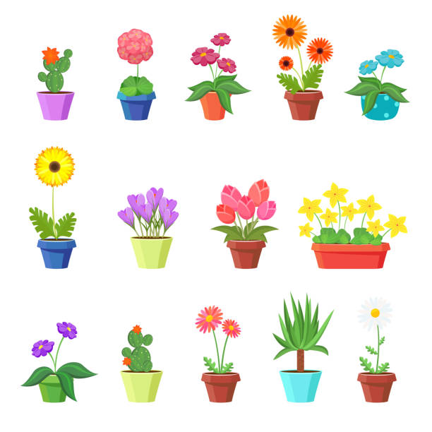 illustrazioni stock, clip art, cartoni animati e icone di tendenza di graziosa fiori di primavera in vasi vettoriale - cactus single flower flower nature