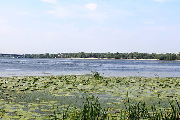 istock Dnieper river in Kiev 510791740