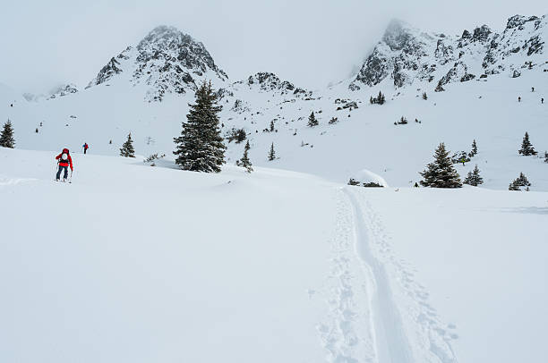 istock Winter Landscape with Snow and Trees 510791753