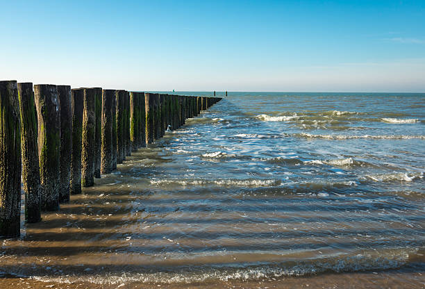 istock North Sea breakwater at low tide 510792220