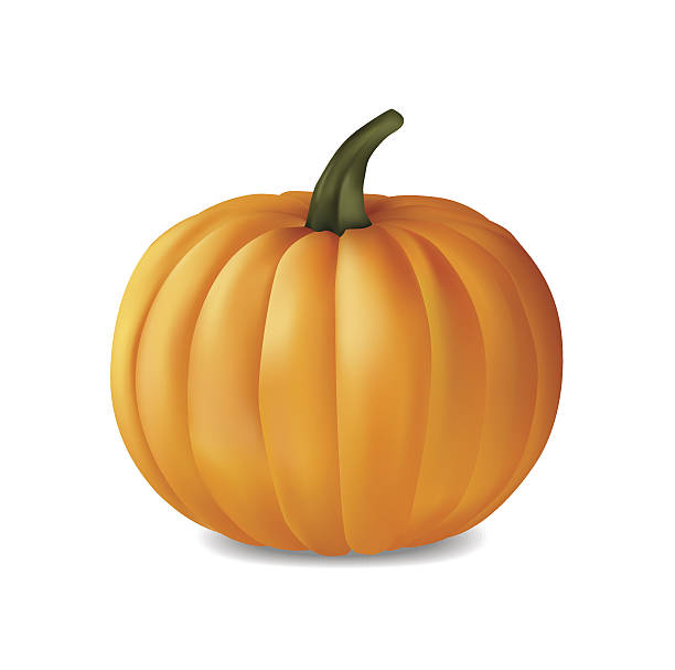 Pumpkin icon vector art illustration