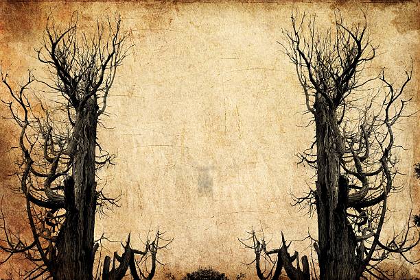 istock grunge image of spooky leafless trees in Autumn 510795849